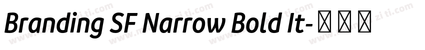 Branding SF Narrow Bold It字体转换